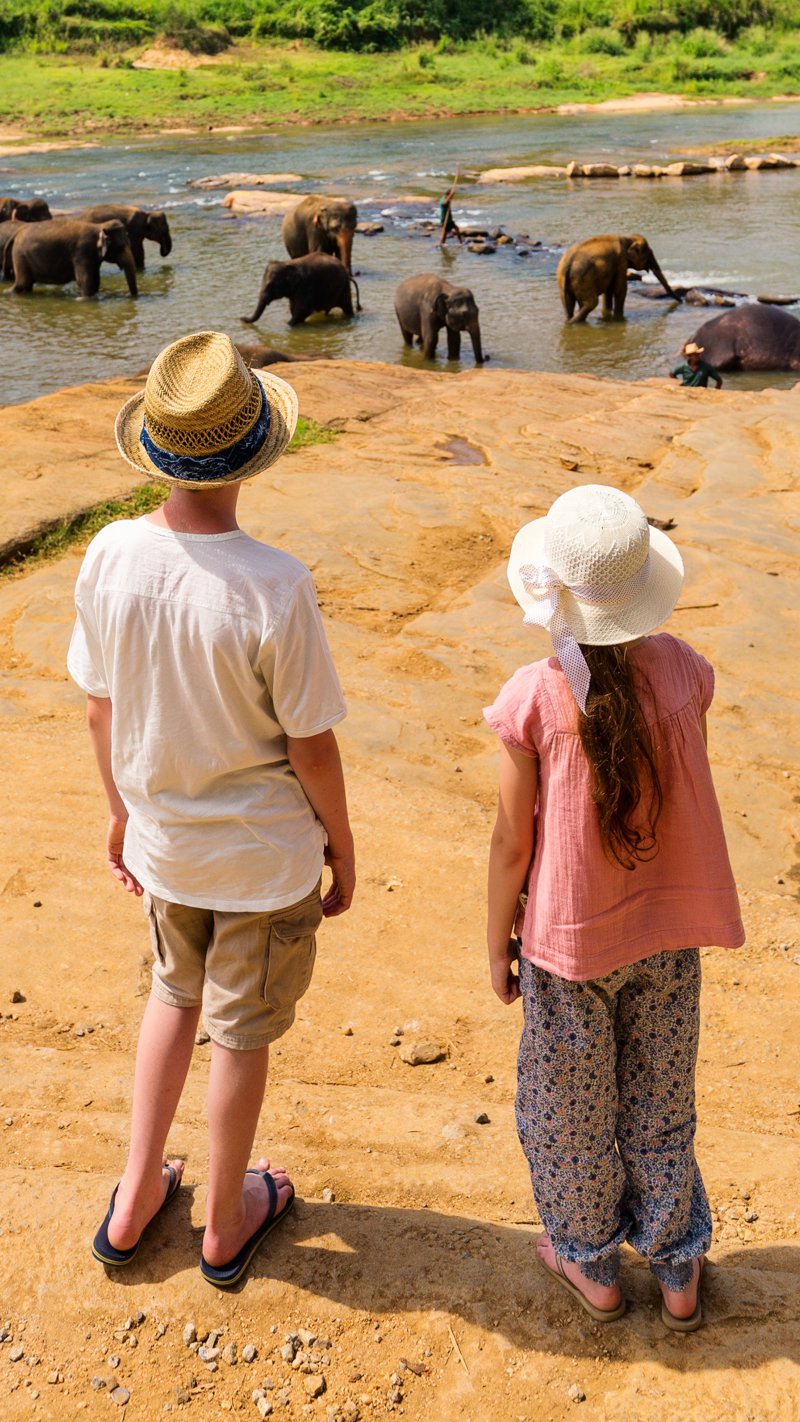 Επίσκεψη σε ορφανοτροφείο ελεφάντων