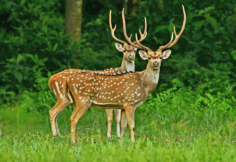 Tο Εθνικό Πάρκο Τσιτουάν