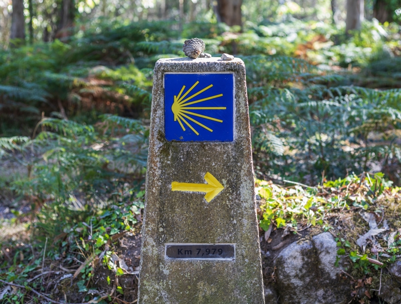 Επιλεγμένες περιπατητικές ξεναγήσεις
