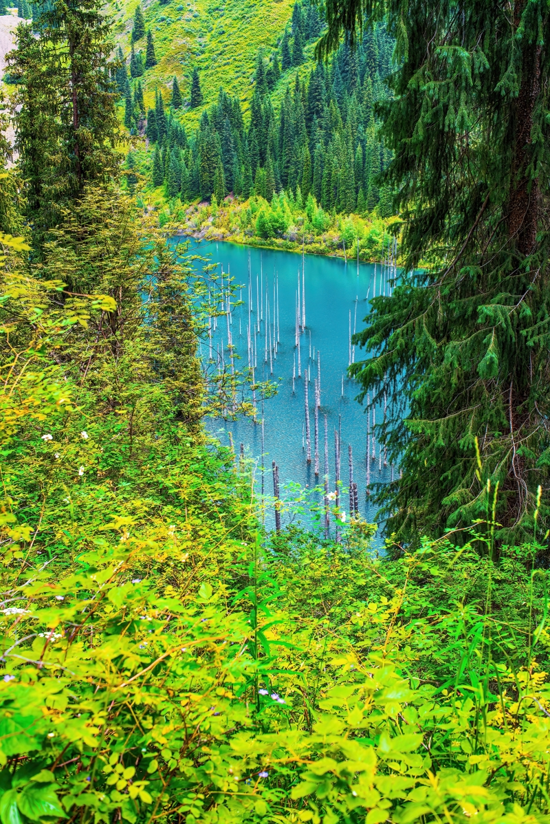 Πρωτότυπες δραστηριότητες που δεν χρεώνονται έξτρα