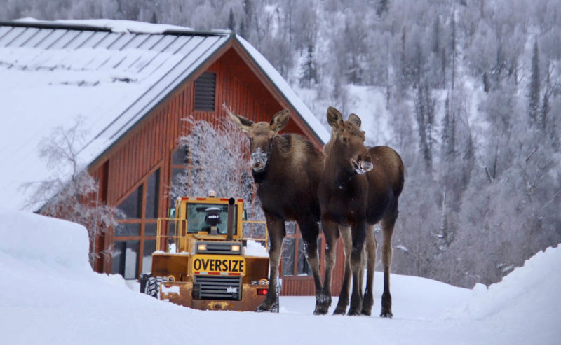 Μια μικρή πόλη με πολύ χιούμορ!  