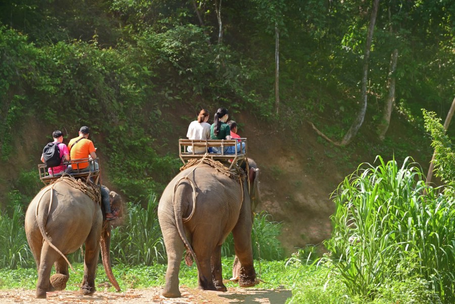 Τρέκινγκ με ελέφαντες