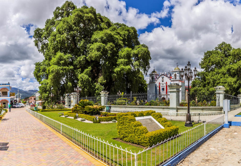 ΤΟΥΞΛΑ ΓΚΟΥΤΙΕΡΕΣ – ΜΙΤΛΑ – ΤΟΥΛΕ – ΟΑΧΑΚΑ 