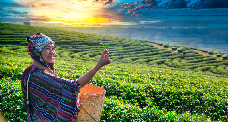 ΚΑΤΜΑΝΤΟΥ – Πτήση για ΠΑΡΟ (ΜΠΟΥΤΑΝ) – ΘΙΜΠΟΥ