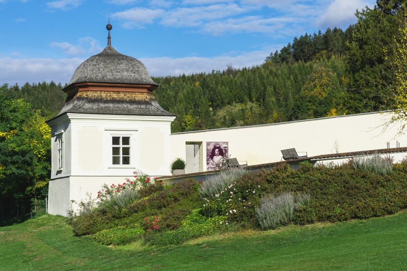 Γνωρίστε τα παραμυθένια Βιεννέζικα Δάση