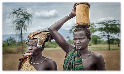 ΤΟΥΡΜΙ – ΤΖΙΝΚΑ