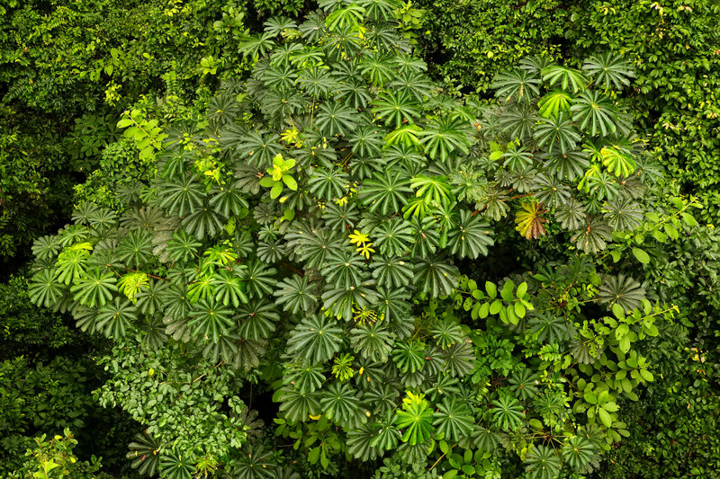 Εθνικό Πάρκο Κακούμ, ένας μικρός παράδεισος 