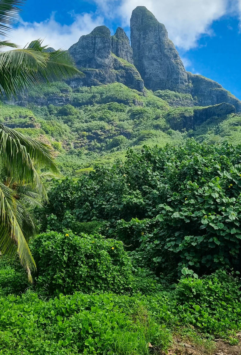 Ένα σπανιότατο ταξίδι, αποκλειστικότητα του Versus! 