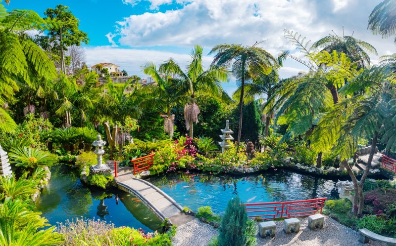 Φουντσάλ, Μόντε