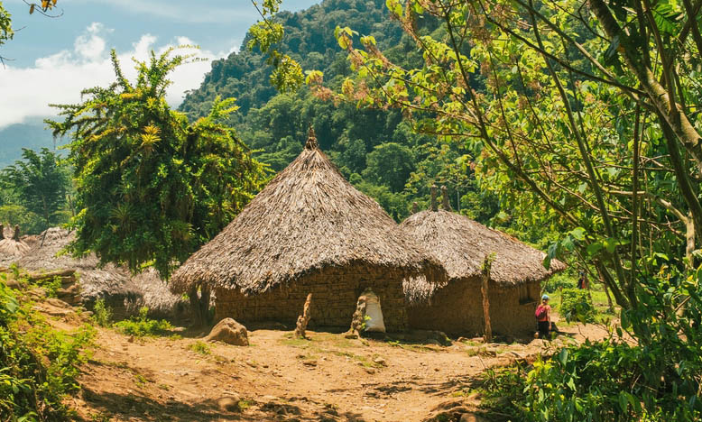 Εθνικός Δρυμός Ταϊρόνα, Ιθαγενείς Κοινότητες Kogui & Arhuaco