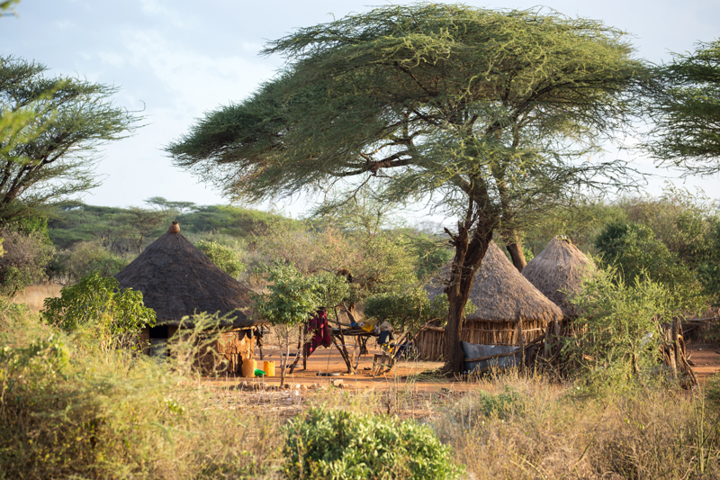 ΤΟΥΡΜΙ: ΧΩΡΙO ΦΥΛΗΣ ΝΤΕΣΑΝΕΚ – ΤΖΙΝΚΑ