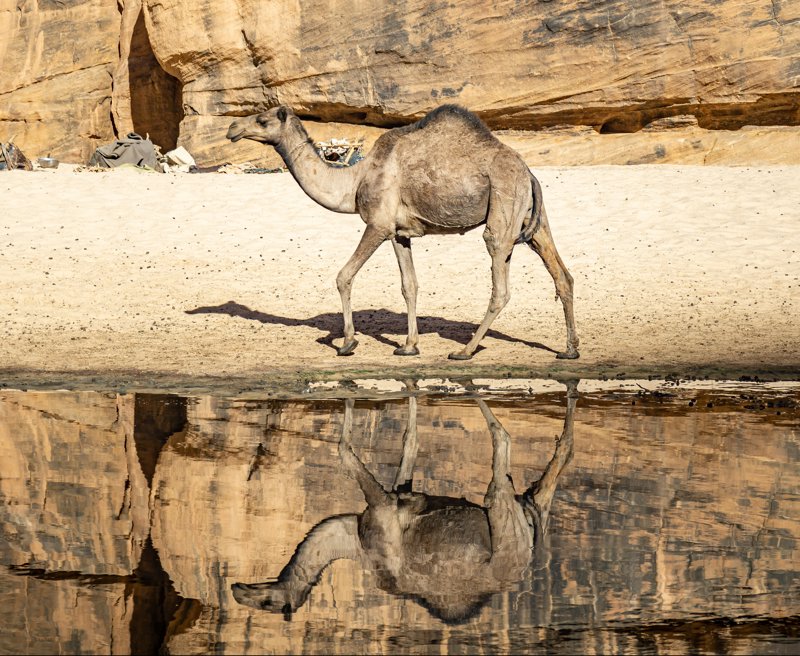 ΑΘΗΝΑ/ΘΕΣΣΑΛΟΝΙΚΗ/ΛΑΡΝΑΚΑ – ΠΤΗΣΗ ΑΝΑΧΩΡΗΣΗΣ ΓΙΑ ΤΣΑΝΤ – ΝΤΖΑΜΕΝΑ 