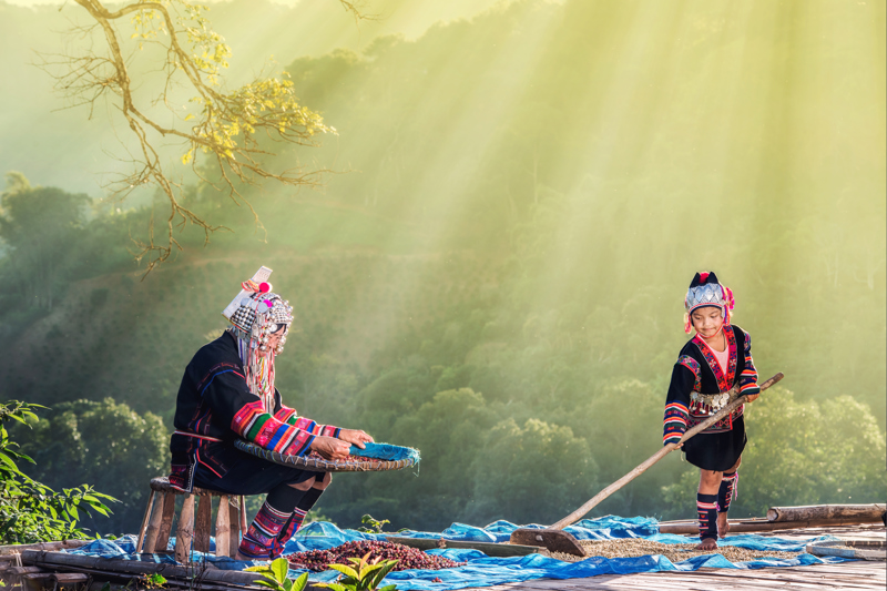 Επίσκεψη στη φάρμα καφέ LAK 40