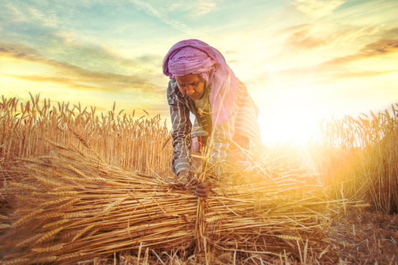 Το χωριό Νίσι 