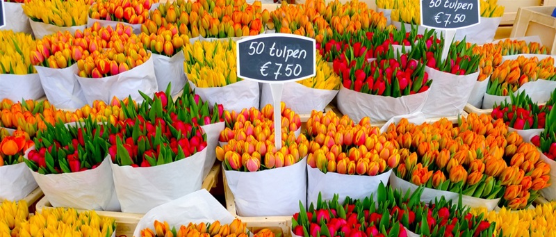 Απευθείας πτήση με KLM