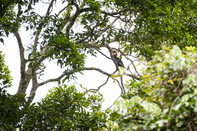 Το Εθνικό Πάρκο Μανουσέλα