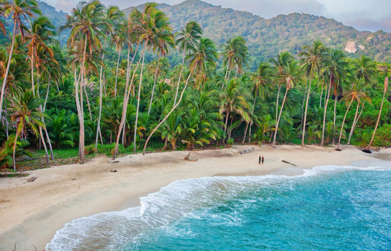 Ο Εθνικός Δρυμός Ταϊρόνα