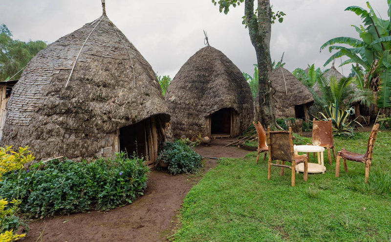 Η φυλή των Ντόρζε