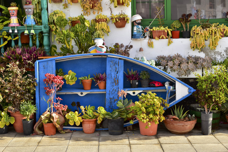 ΛΑΝΘΑΡΟΤΕ (περιήγηση, ΕΘΝΙΚΟ ΠΑΡΚΟ ΤΙΜΑΝΦΑΓΙΑ)