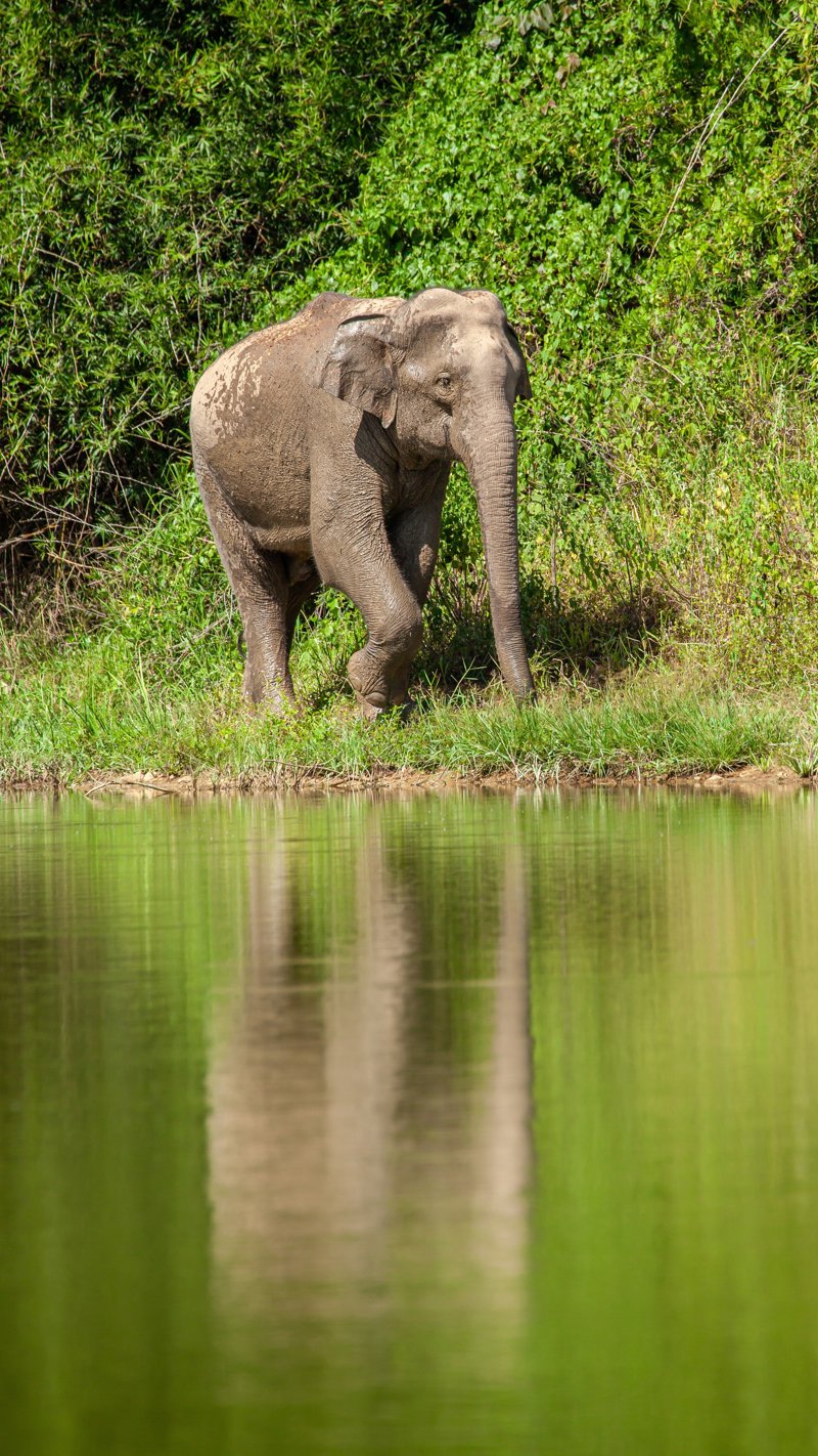 Διαμονή στο Εθνικό Πάρκο Kuiburi