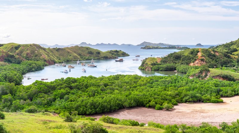 Γνωρίζουμε το νησί Rinca