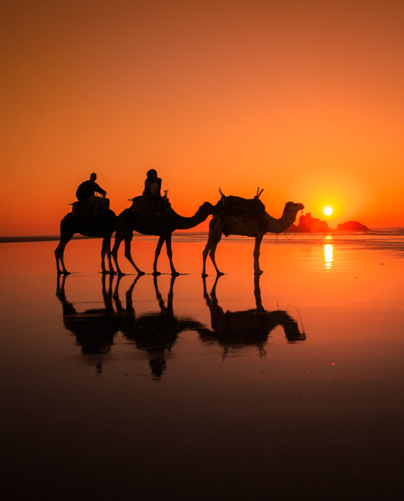 Εξειδικευμένες Ξεναγήσεις