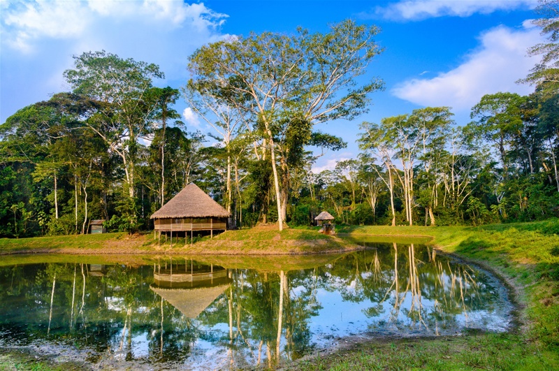 ΠΟΥΕΡΤΟ ΜΑΛΔΟΝΑΔΟ (Ζούγκλα Αμαζονίου)