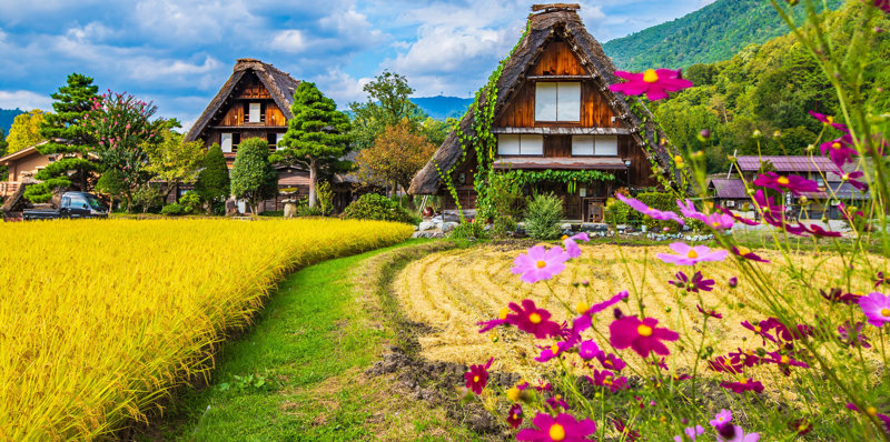 To Σιρακαβάγκο