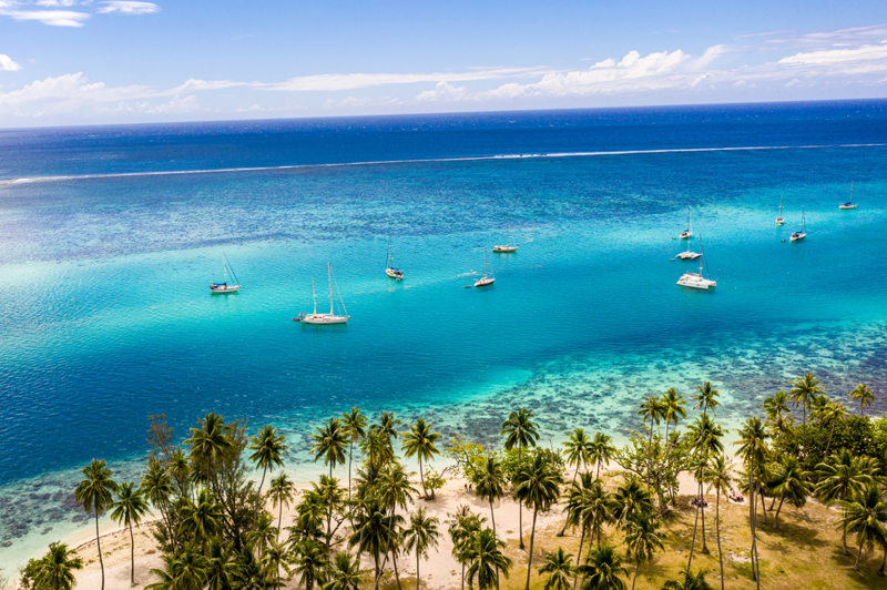 Μουρέα – κρουαζιέρα και παρατήρηση δελφινιών και φαλαινών