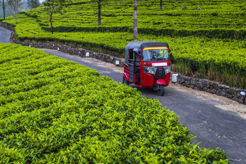 Θα κάνουμε διαδρομή με tuk tuk 