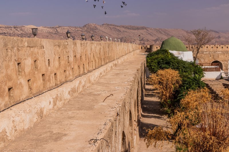 Κάστρο της Κόγια