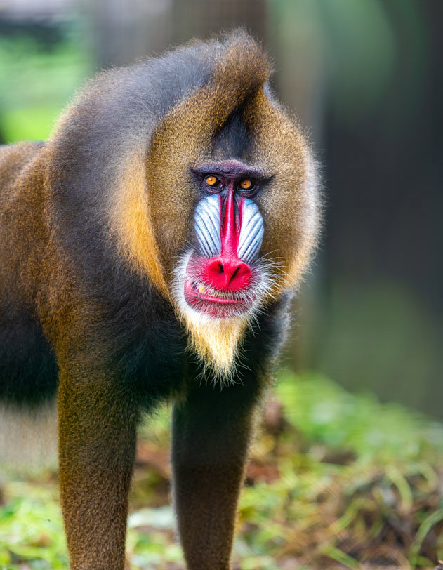 Αξέχαστες δραστηριότητες