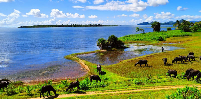 Τσίλκα, η μεγαλύτερη αλμυρή λιμνοθάλασσα στην Ασία