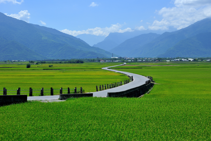 ΚΑΟΣΙΟΥΝΓΚ – ΤΑΪΤΟΥΝΓΚ