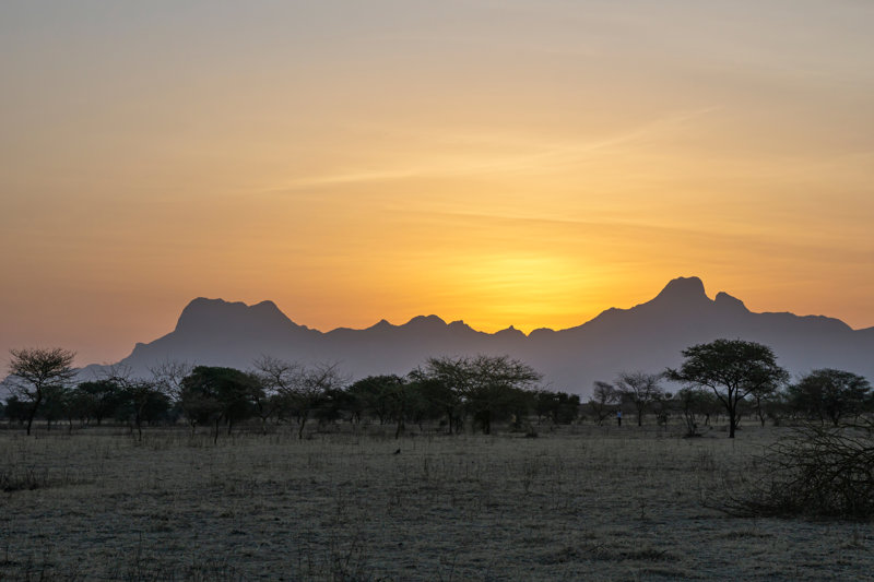 ΟΥΑΡΝΤΑ – ΝΤΖΑΜΕΝΑ (ΕΣΩΤΕΡΙΚΗ ΠΤΗΣΗ)