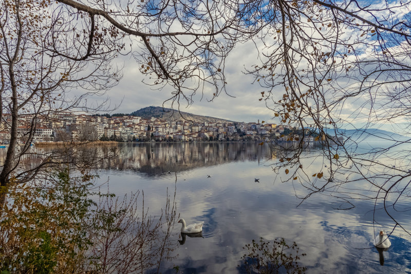 Ημιδιατροφή καθημερινά