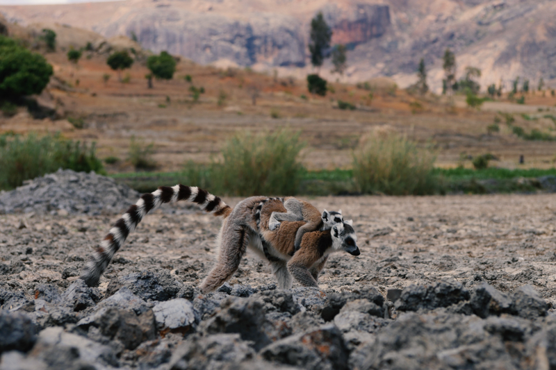 Ρανοχίρα - Φιαναραντσόα