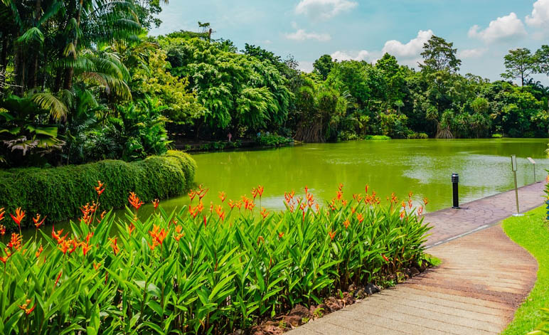 Οι υπέροχοι Βοτανικοί Κήποι