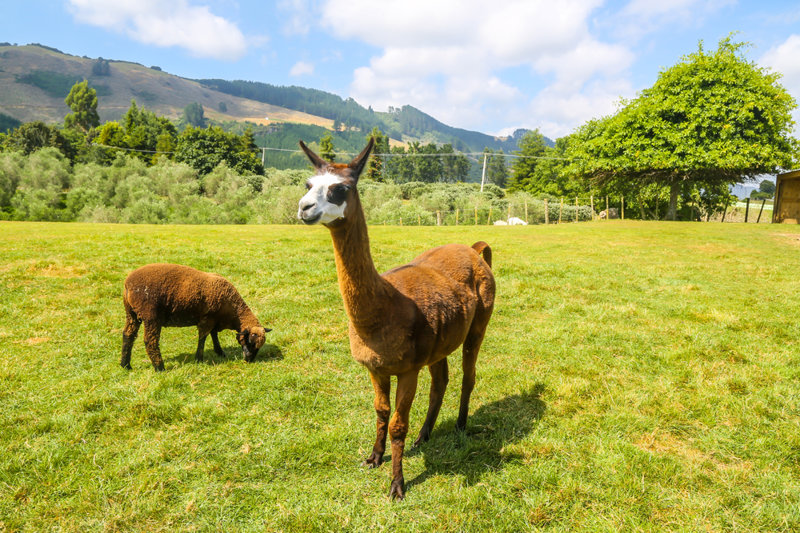 Η εμπειρία μας στη φάρμα Agrodome