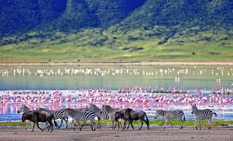 Νγκορονγκόρο, Τανζανία