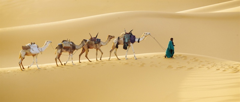 ΟΡΑΝ – ΠΤΗΣΗ ΓΙΑ ΑΛΓΕΡΙ – ΠΤΗΣΗ ΕΠΙΣΤΡΟΦΗΣ