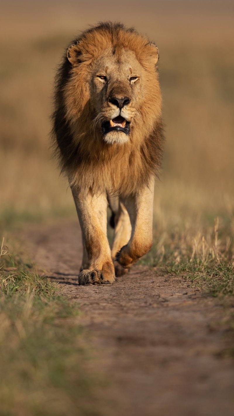 Εξαιρετική Διαμονή 4*