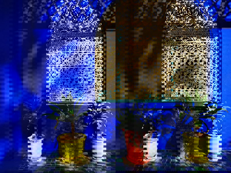 ΜΑΡΑΚΕΣ – ΚΑΖΑΜΠΛΑΝΚΑ – Πτήση Επιστροφής – Άφιξη ΑΘΗΝΑ/ ΘΕΣΣΑΛΟΝΙΚΗ/ ΛΑΡΝΑΚΑ