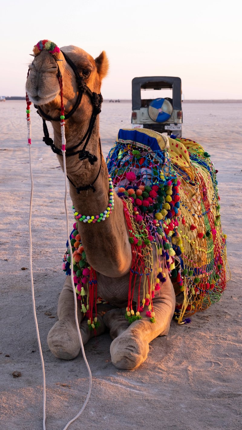 Διανυκτέρευση στην Έρημο του Ραν