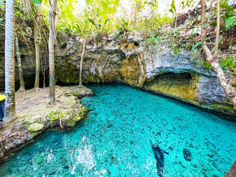 Απολαύστε το μπάνιο σας σε μία cenota