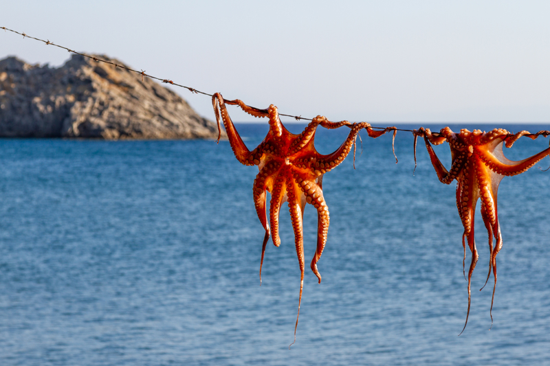 Η όμορφη Σκάλα Ερεσού 