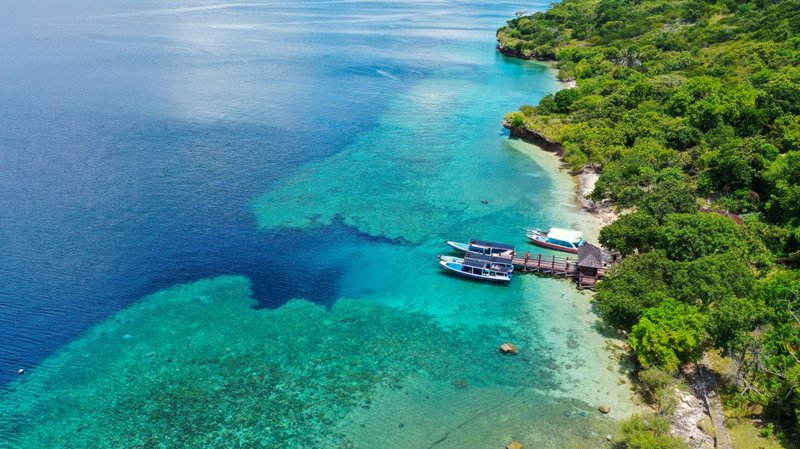 Νήσος Menjangan ολοήμερη εκδρομή με snorkeling