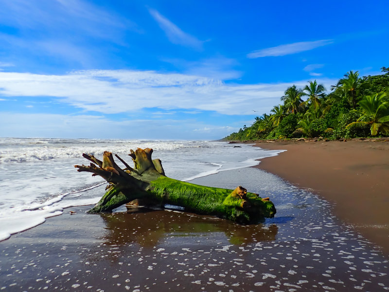 Ένας μικρός παράδεισος
