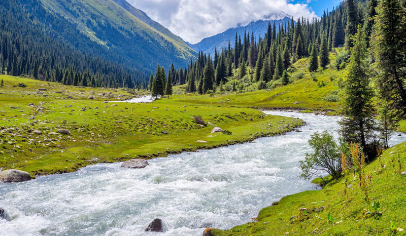 Αλτίν Αρασάν