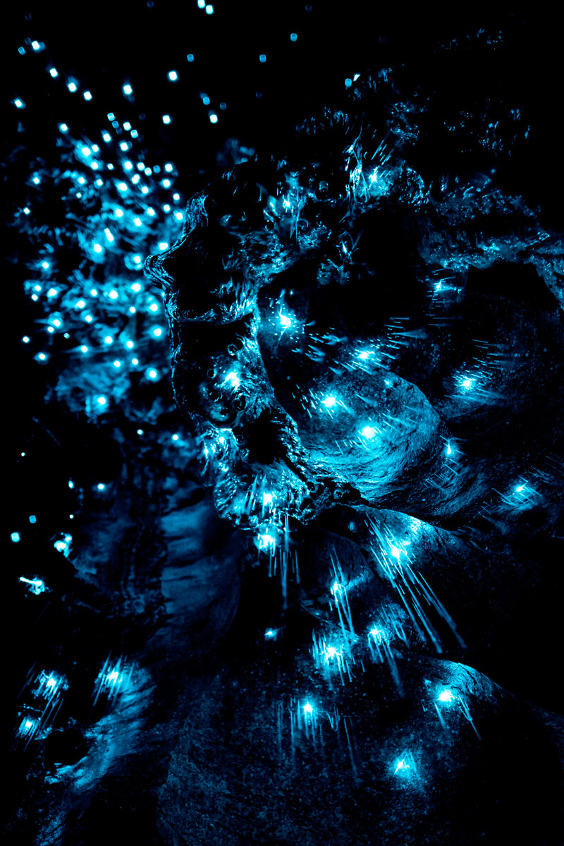 Επίσκεψη στα εντυπωσιακά σπήλαια Γουαϊτόμο 